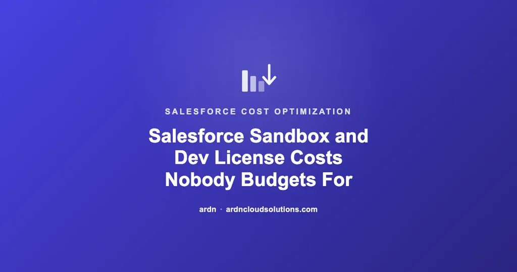 Salesforce sandbox and developer license costs nobody budgets for — ARDN Cloud Solutions